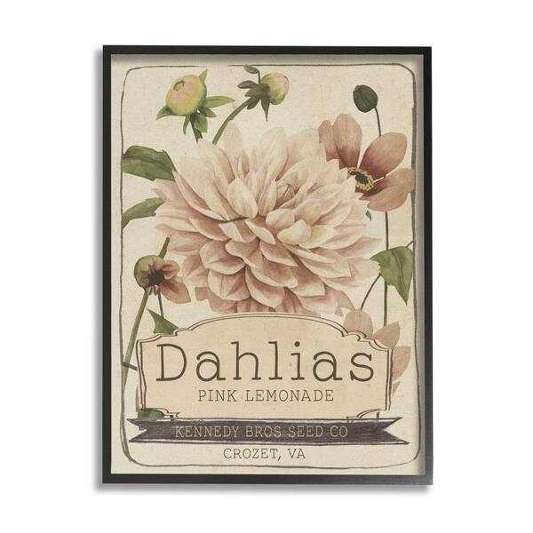 Stupell Industries Pink Lemonade Dahlias Vintage Floral Seed Packet By Studio W Framed Print Nature Texturized Art 24 in. x 30 in.