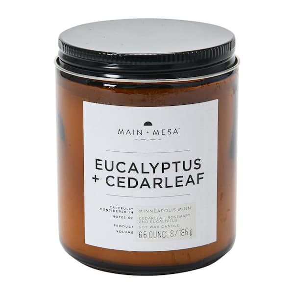 6.5 fl. oz. Eucalyptus & Cedarleaf Scented Candle Lidded Glass (1-Pack)