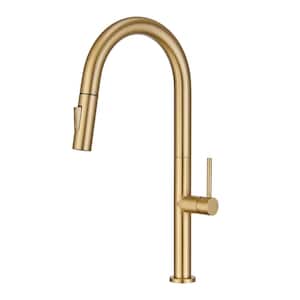 Single Handle Surface Mount High Arc Pull Down Kitchen Faucet with Accessories in Brushed Gold