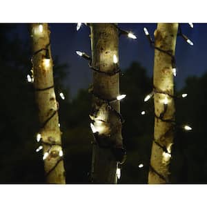 33 ft. Line Voltage 100-Light LED Smooth Mini Cool White Garden Indoor/Outdoor String Light (2-Pack)