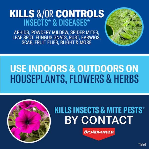 24 oz. Ready to Use Houseplant Insect Killer and Mite Control