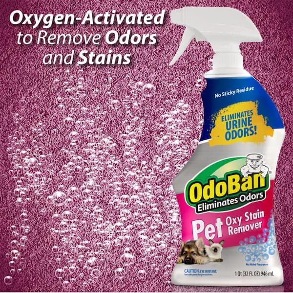 32 oz. Pet Oxy Stain Remover (2-Pack)