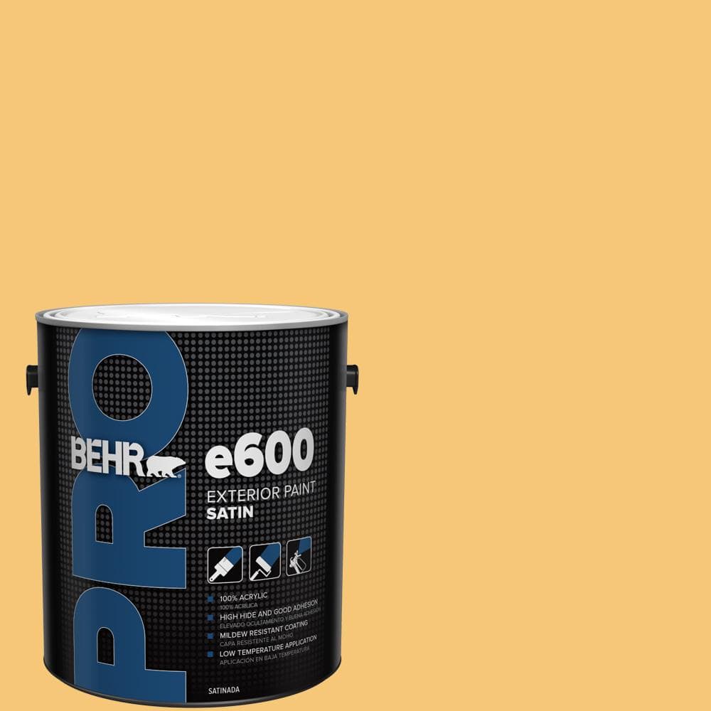 1 gal. #T14-19 Sunday Afternoon Satin Exterior Paint price history on PriceWatchPro