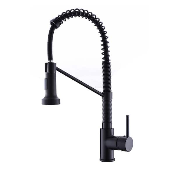 Kitchen Faucet with Pull Out Sprayer Brushed Nickel Stainless Steel Single Handle Kitchen Sink Faucets