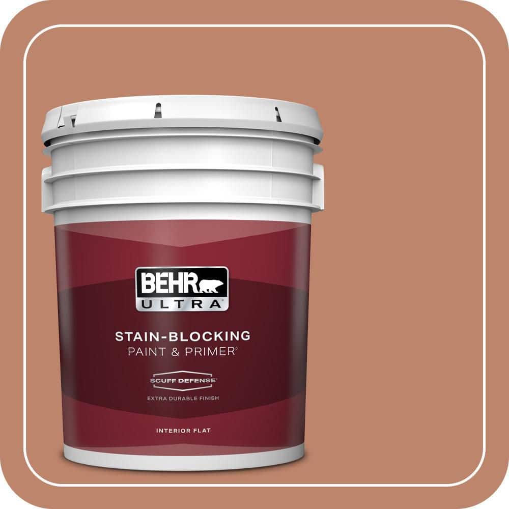 5 gal. #QE-03 Clay Ground Extra Durable Flat Interior Paint & Primer price history on PriceWatchPro