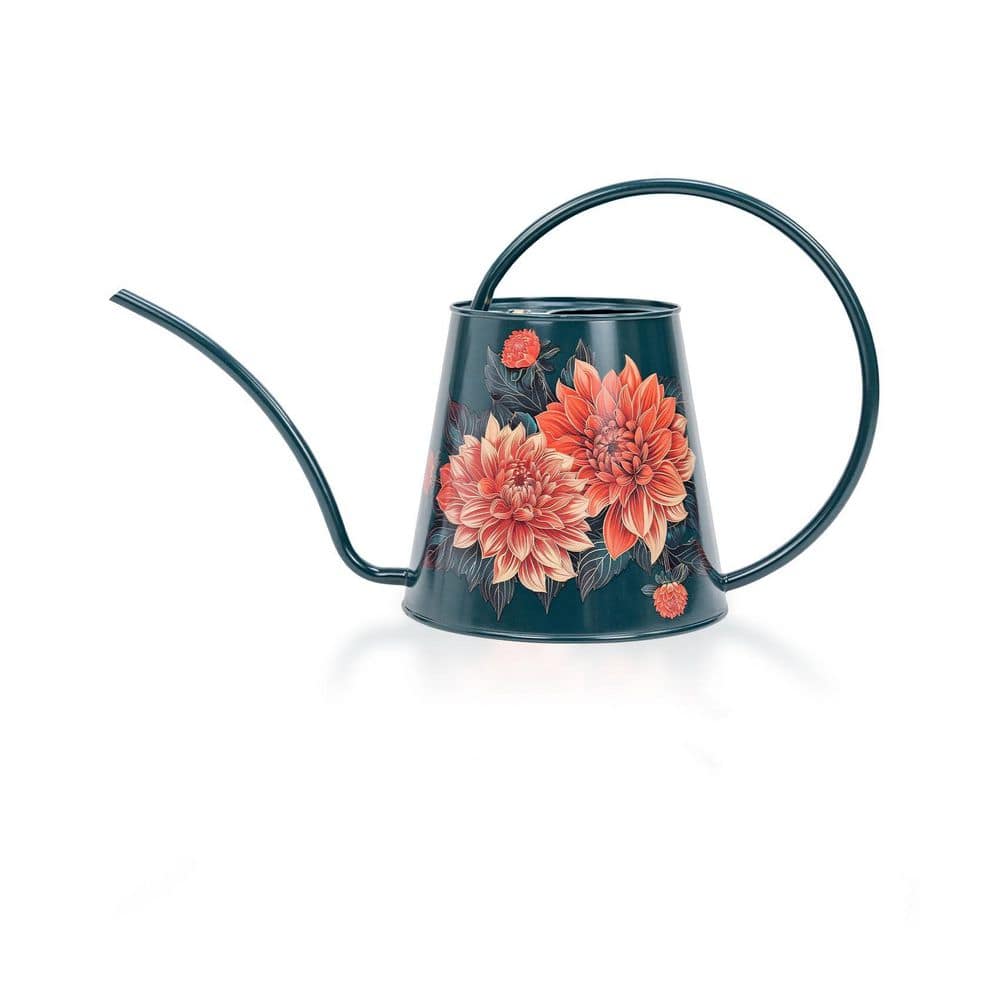 Indoor and Outdoor House Plants Watering Can-1/2 Gallon Dahlia Stainless Steel Water Can with Long Spout (2L/68oz) price history on PriceWatchPro