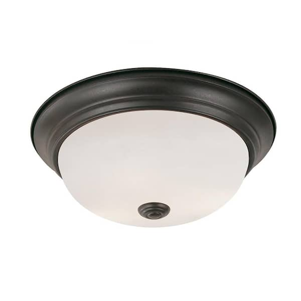 ceiling light with camera