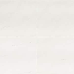MSI White 24 in. x 24 in. Polished Porcelain Floor and Wall Tile (16 sq.  ft./Case) NWHI2424P