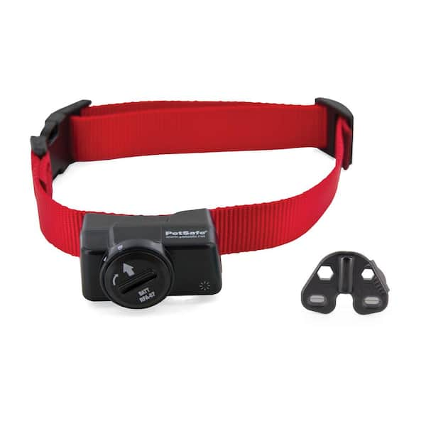 petsmart 1000 shock collar