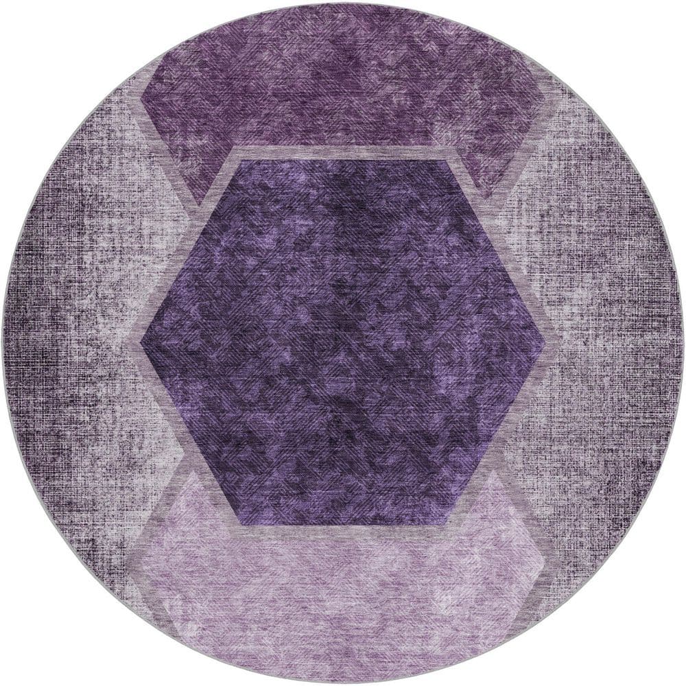 Dream Shag Premium Machine Washable Abstract ADS679 Eggplant 8 ft. x 8 ft. Round Rug price history on PriceWatchPro