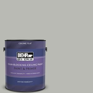1 gal. #PPU18-11 Classic Silver Ceiling Flat Interior Paint & Primer