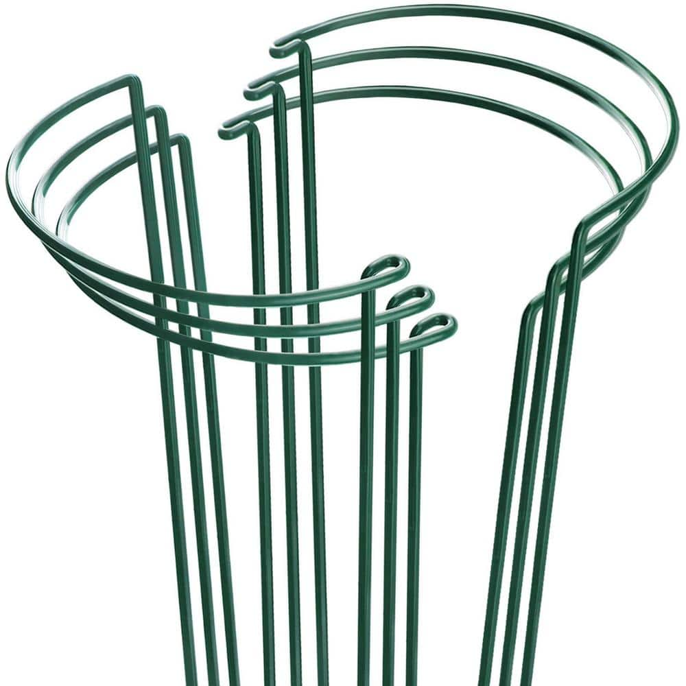 15.8 in. Heavy-Duty Evergreen Peony Plant Support Stakes (6-Pack ...