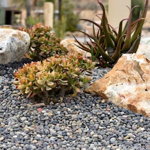 0.50 cu. ft. 1 in. to 2 in. Mixed Mexican Beach Pebble Smooth Round Rock for Gardens, Landscapes and Ponds