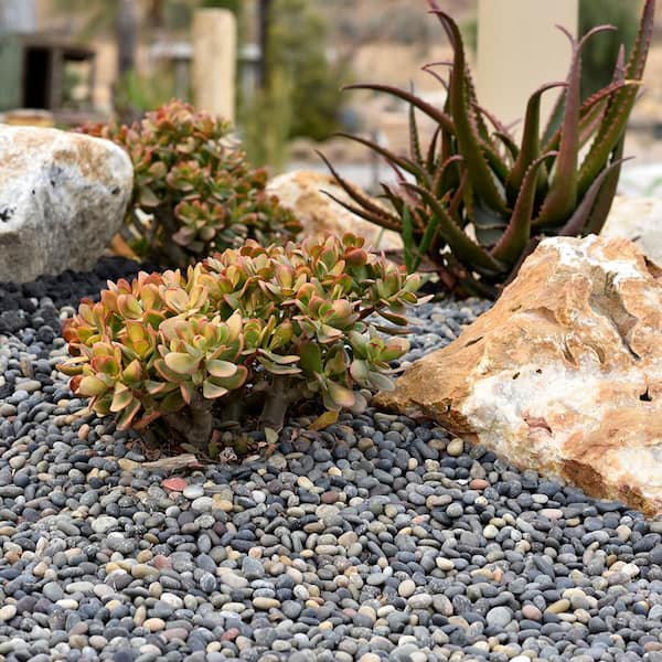 0.50 cu. ft. 3 in. to 5 in. Mixed Mexican Beach Pebble Smooth Round Rock for Gardens, Landscapes and Ponds