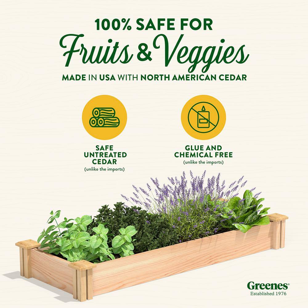 Premium Cedar Raised Garden Bed, 16" x 48" x 5.5"