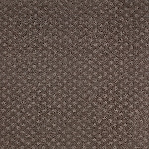 Transcends Time Cocoa Brown 39 oz. Triexta Pattern Installed Carpet
