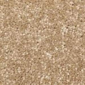 Sycamore II - Mangrove - Brown 58 oz. SD Polyester Texture Installed Carpet