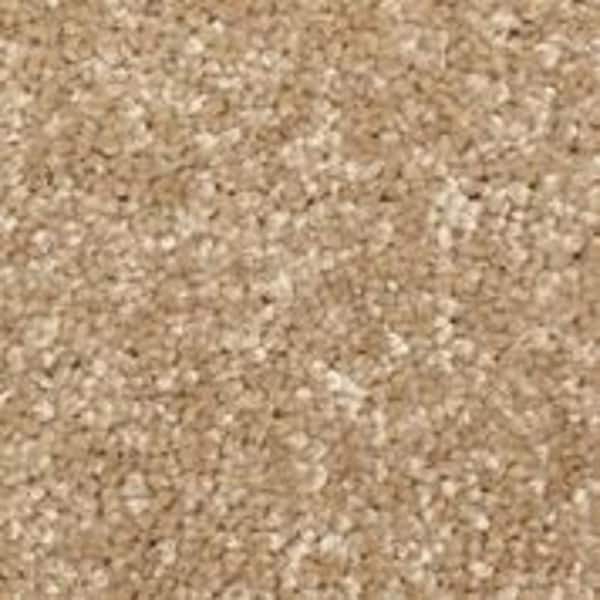 Sycamore II - Mangrove - Brown 58 oz. SD Polyester Texture Installed Carpet