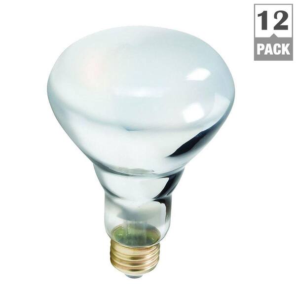 Philips 40-Watt BR30 Halogen Flood Frosted Soft White (2700K) Light Bulb (12-Pack)