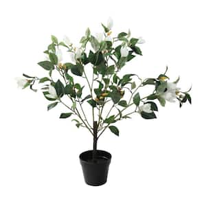 32.5 in. Potted White Artificial Lily Magnolia Flowering Tree