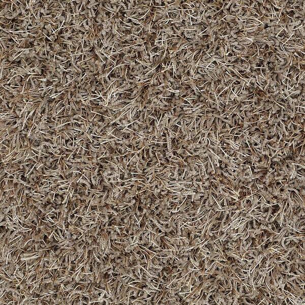 Platinum Plus Carpet Sample - Royal Step - In Color Arctic Mist 8 in. x 8 in.