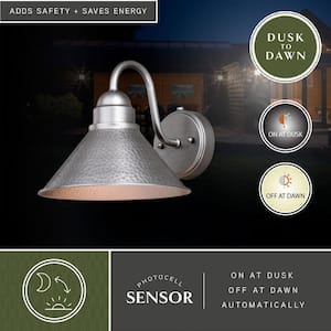 Outland 1-Light Dusk to Dawn Brushed Pewter Farmhouse Barn Dome Outdoor Wall Lantern
