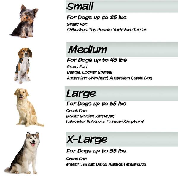 Sherpa best sale dog breed