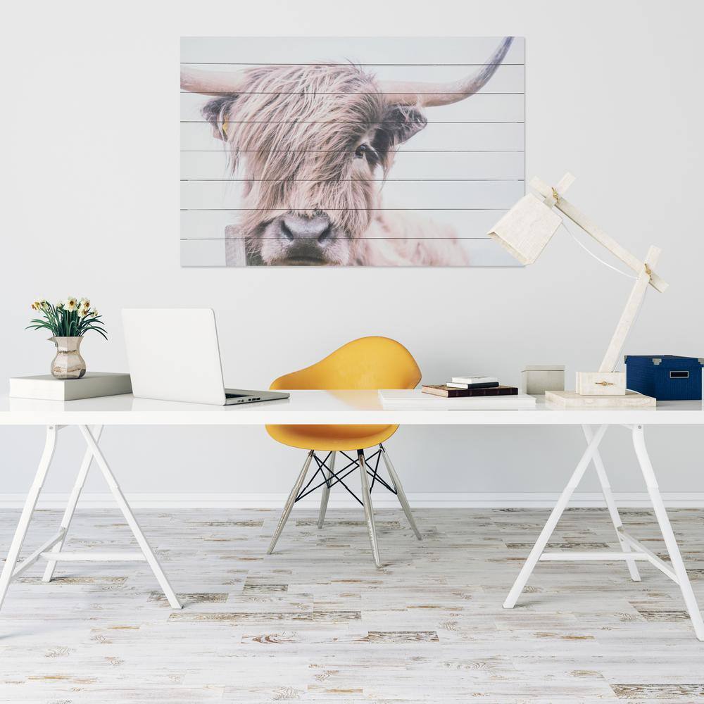 Highland Cow Photographic Print on Fir Wood Wall Art