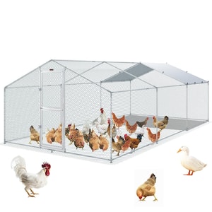 Large Metal Chicken Coop 19.7 ft. x 9.8 ft. x 6.6 ft. with Run Walkin Poultry Cage Waterproof Cover