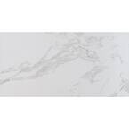 Praia Carrara 12 in. x 24 in. Polished Porcelain Floor and Wall Tile ( 16 sq. Ft. / case )