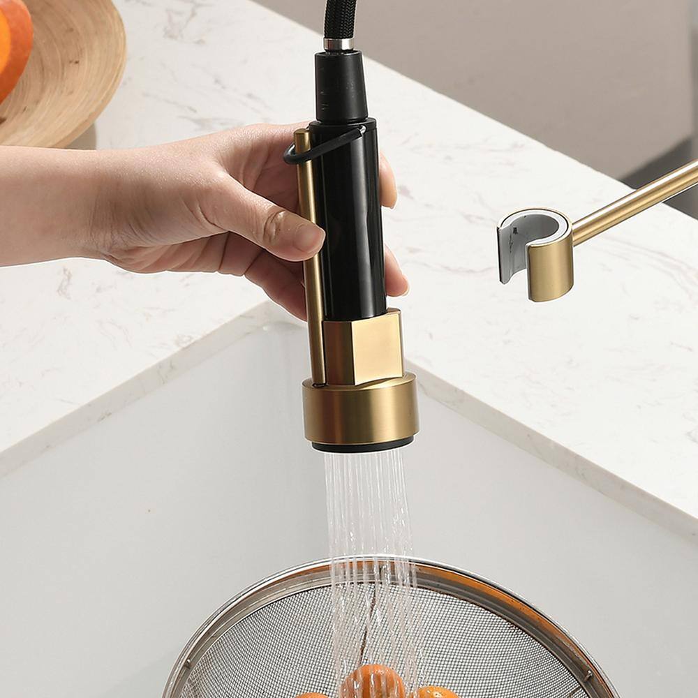 Single Handle Pull Out Sprayer Kitchen Faucet in Brushed Gold price history on PriceWatchPro