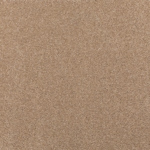 Plush Dreams I Cozy Beige 39 oz Triexta Textured Installed Carpet