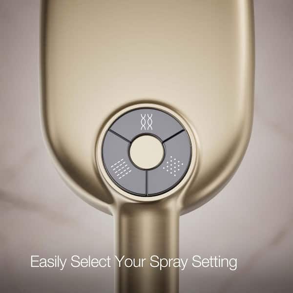 KOHLER Statement Oblong 3-Spray Patterns Wall Mount Handheld Shower Head 2.5 GPM in Vibrant Brushed Bronze