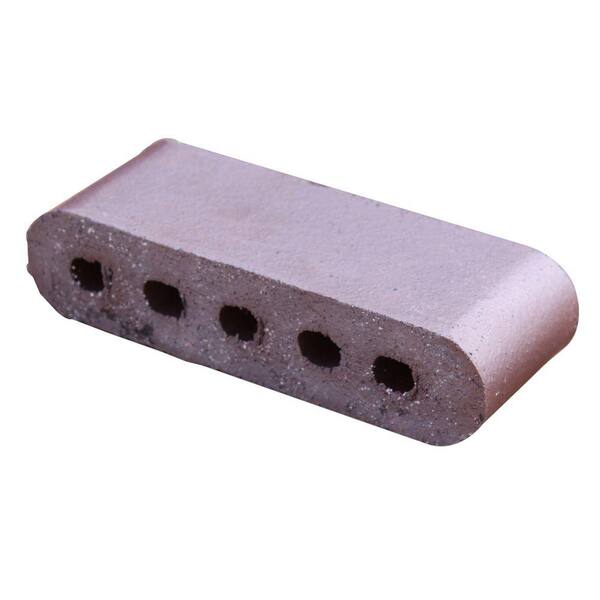Unbranded Double Bullnose Medium Iron Spot 9 in. x 3.5 in. x 2.19 in. Cored Clay Brick