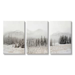 Snowy Countryside Forest Foggy Mountain by Danita Delimont 3-Piece Unframed Print Nature Wall Art 16 in. x 24 in.