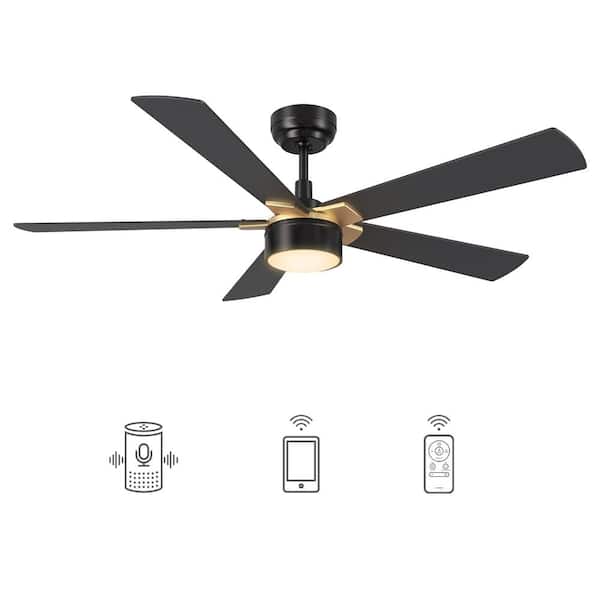 CARRO Granby 52 in. Integrated LED Indoor/Outdoor Black Smart Ceiling Fan with Light and Remote, Works with Alexa/Google Home