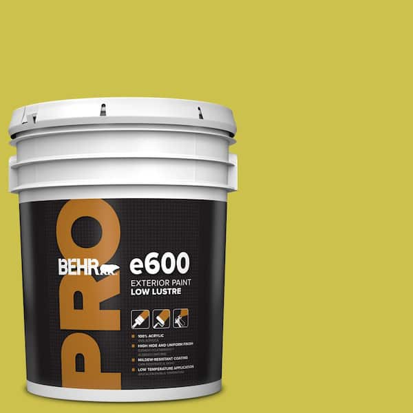 5 Gal. #P340-5A Cilantro Lime Low Luster Exterior Paint
