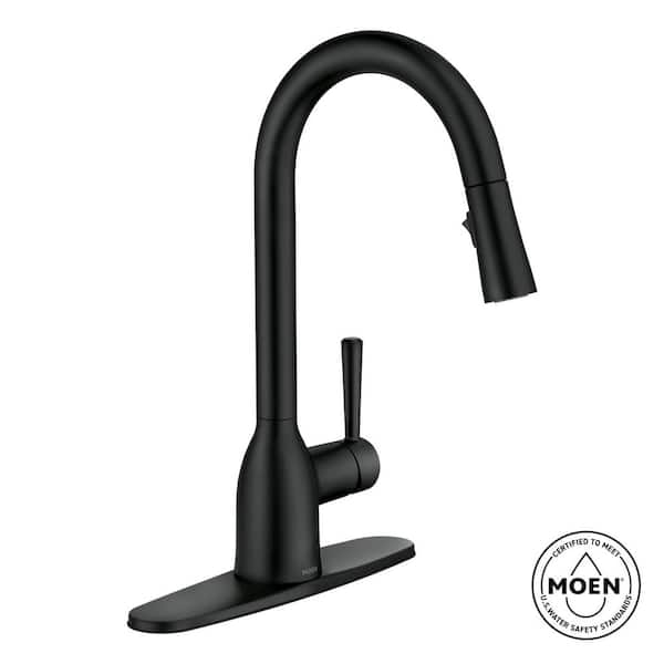 Adler Single-Handle Pull-Down Sprayer Kitchen Faucet with Reflex and Power Clean in Matte Black