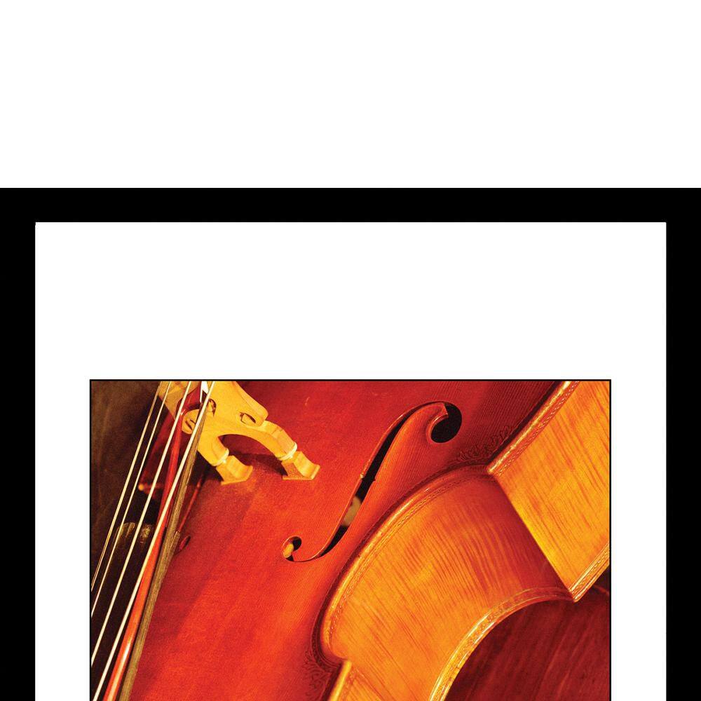 Steven A. Heller Framed Print of Bass in Warm Tones