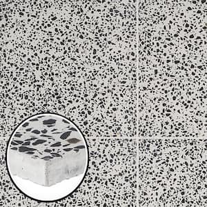 Raleigh Black and White Square 16.14 in. x 16.14 in. Polished Terrazzo Floor and Wall Tile (3.61 sq. ft. / Case)
