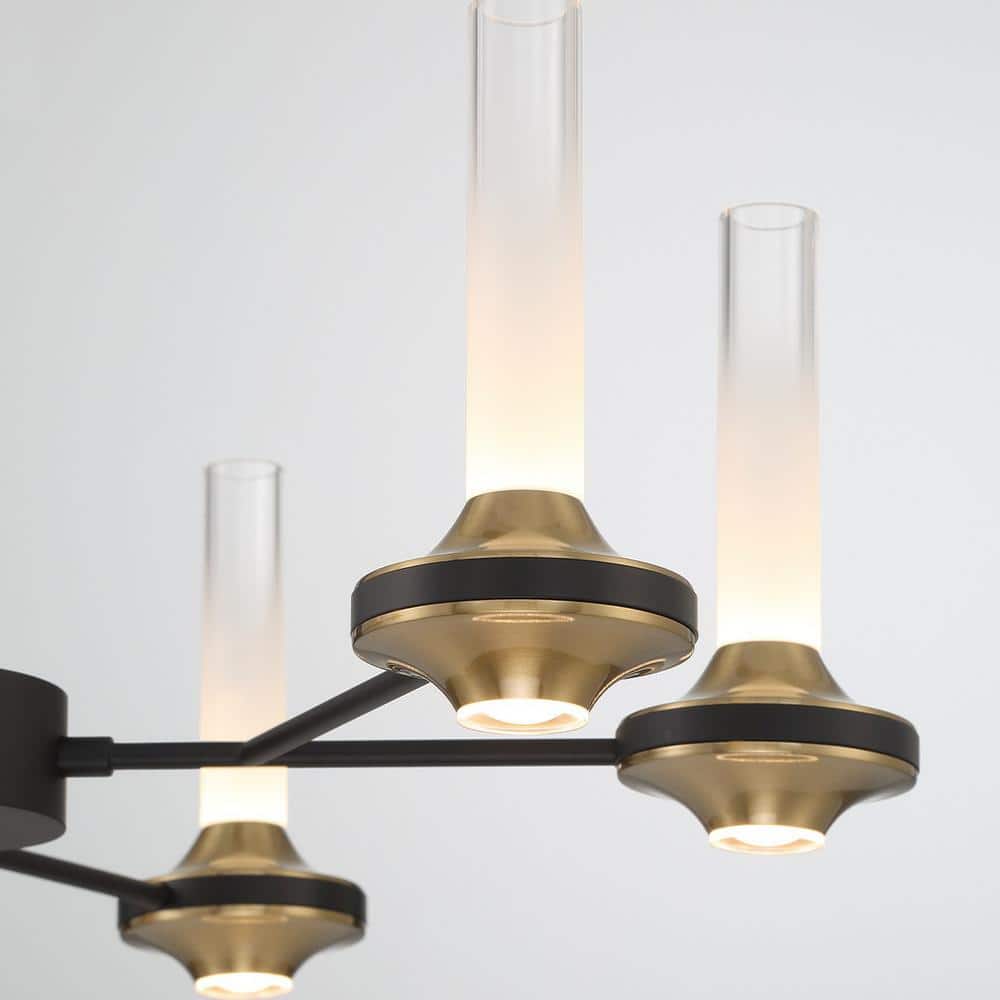 Torcia Black and Brass 12-Light LED Chandelier with Etched Glass Shades