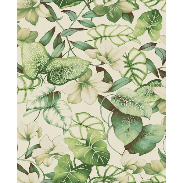 Windemere Aloe Tropical Botanical Vinyl Peel and Stick Wallpaper Roll (Covers 30.75 sq. ft.)