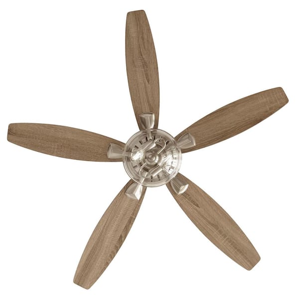 54 connor led ceiling fan