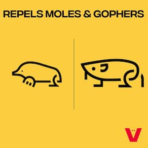 Solar-Powered Mole and Gopher Sonic Spike