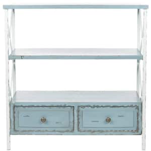 Chandra 34 in. 2-Drawer Blue/Off-White Wood Console Table