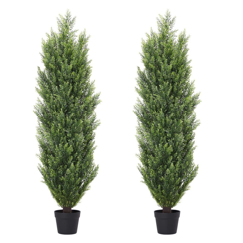 Home Depot Evergreen Treesnull