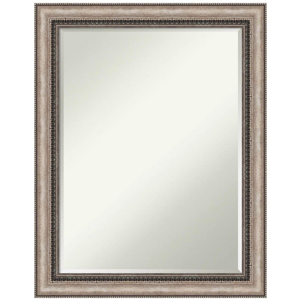 Amanti Art Lyla Ornate Silver 22.25 in. x 28.25 in. Petite Bevel