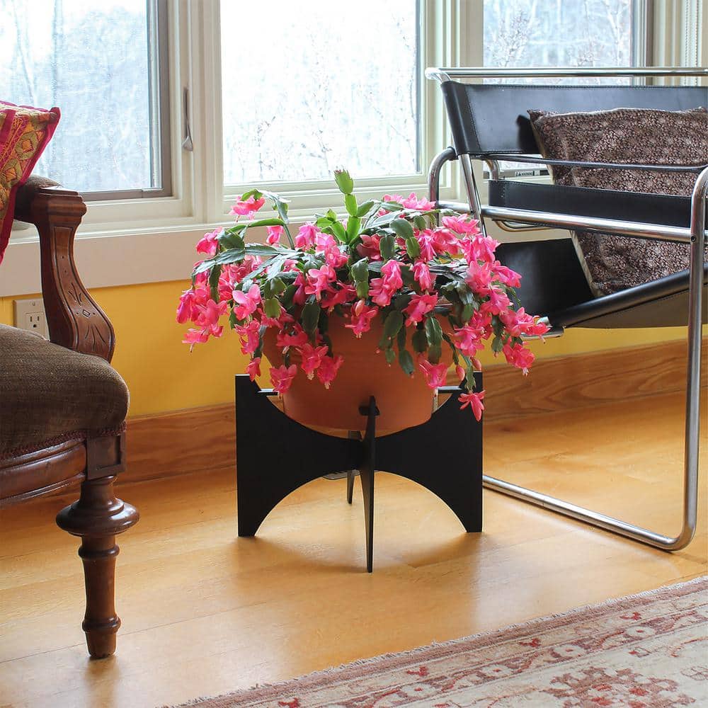 Zaha Black Steel Modern Indoor/Outdoor Plant Stand