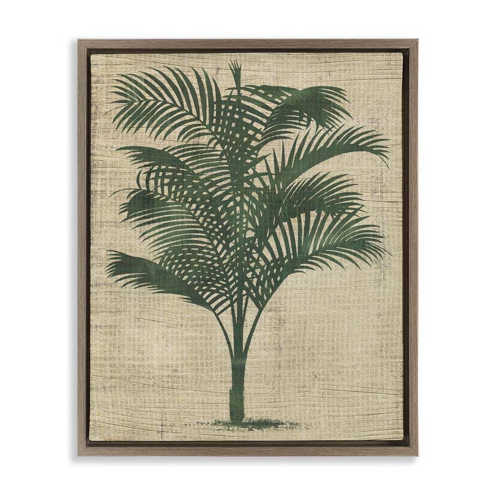 Vintage Palm Plant by June Erica Vess Brown Floater Frame Nature Graphic Art Print 31 in. x 25 in. price history on PriceWatchPro