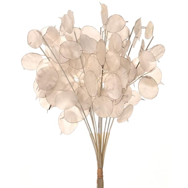 16 in White Artificial Lunaria Bundle